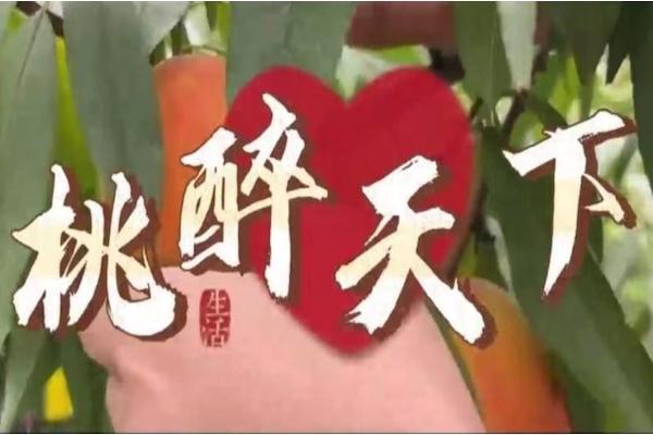 图片41.jpg 图片41.jpg